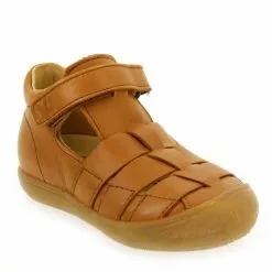 Acebos 1149 - Camel Camel